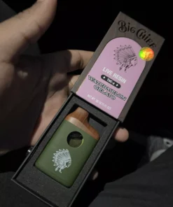 Big Chief Disposable